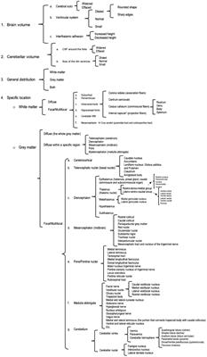 Magnetic resonance imaging pattern recognition of metabolic and neurodegenerative encephalopathies in dogs and cats